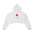 Link King 98 Essential Cropped Hoodie
